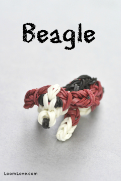 beagle rainbow loom