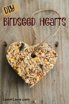 diy birdseed hearts